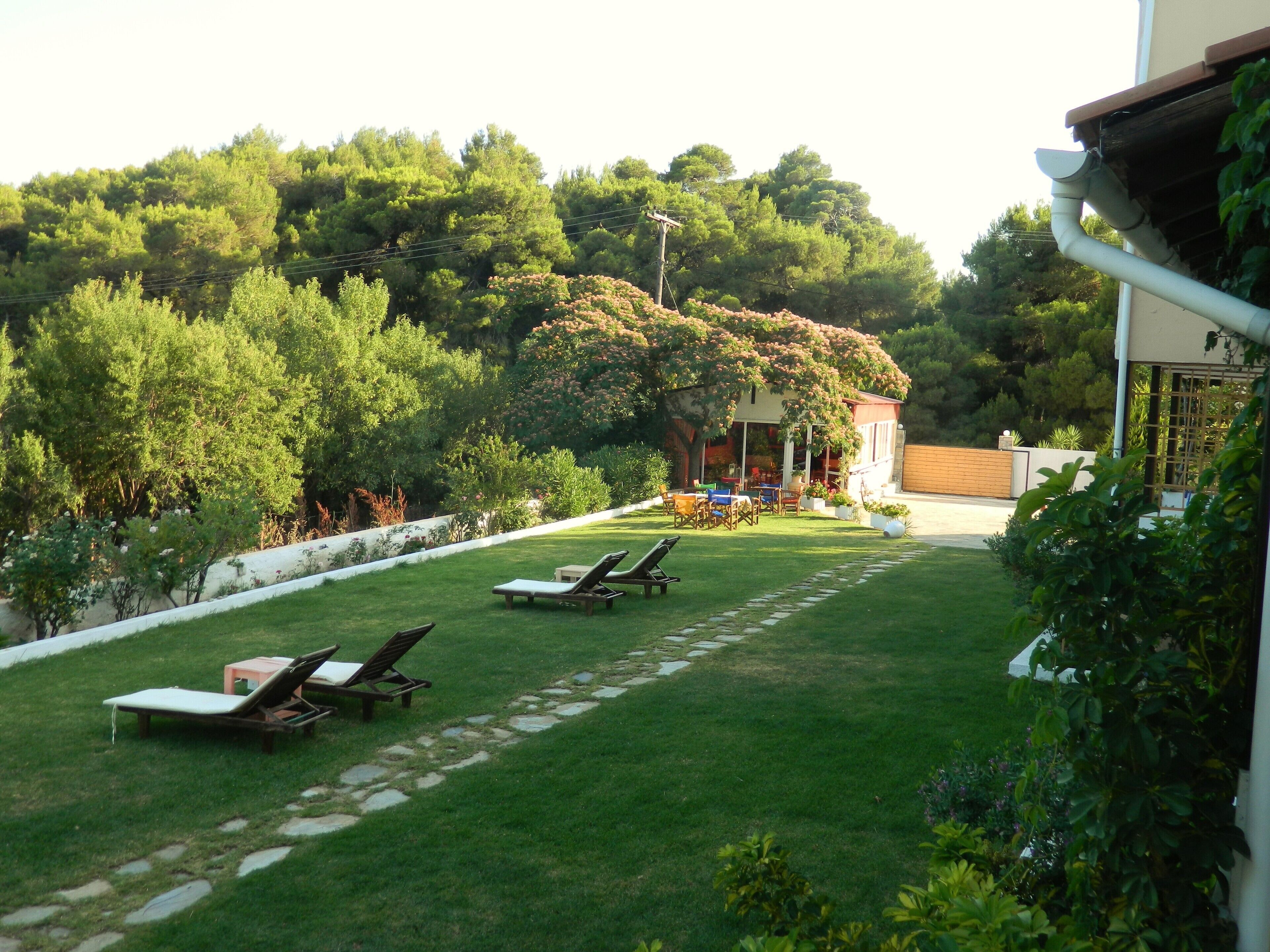 Un jardí amb piscina, gandules i un edifici amb terrassa coberta.