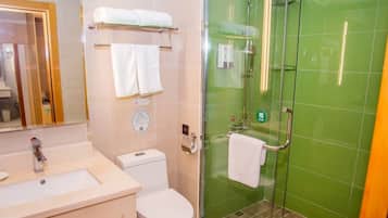 Shower, hair dryer
