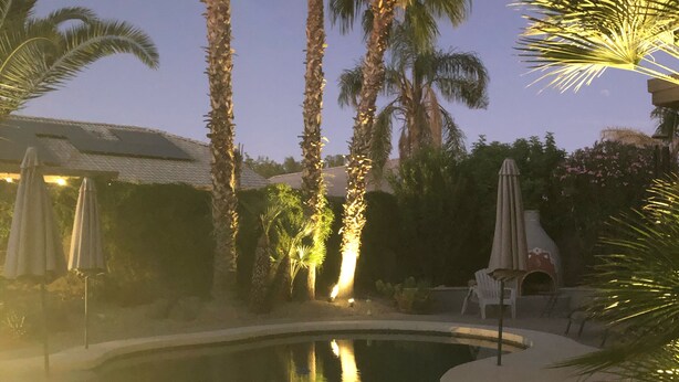 A swimming pool surrounded by palm trees and umbrellas, with a thatched-roof structure in the background.