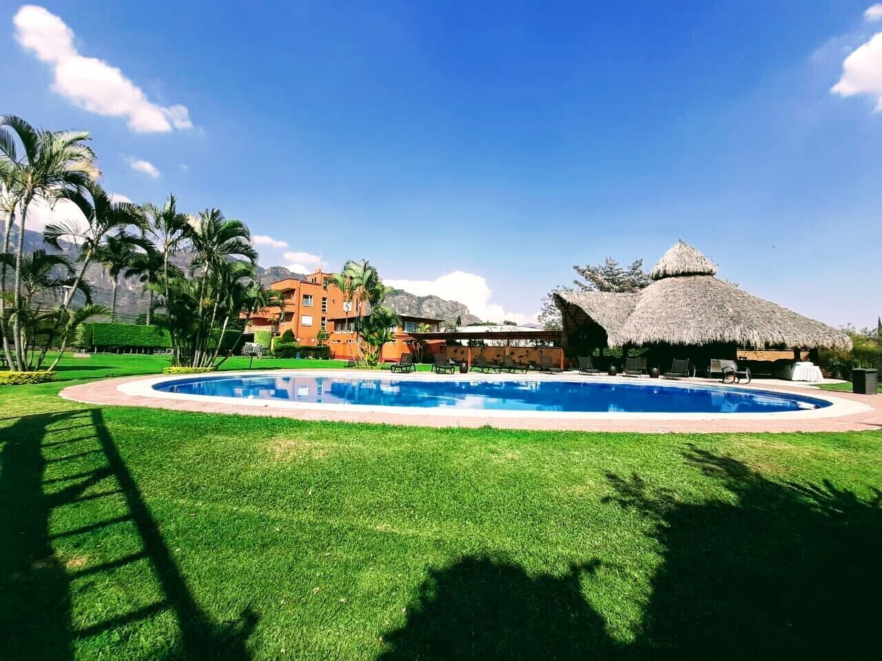 A swimming pool surrounded by a well-maintained lawn, with a thatched-roof structure and a multi-story building in the background.