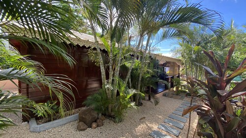 Das Fall-Holz Kreolen (das Meer)