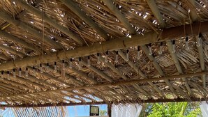 An outdoor seating area with wooden furniture, a grill, and a decorative plant. - La Case Bois Creoles (the sea) (Albion)