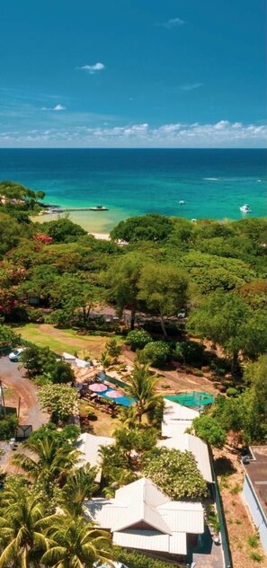 A coastal property with a swimming pool, lush greenery, and a view of the ocean. - La Case Bois Creoles (the sea) (Albion)