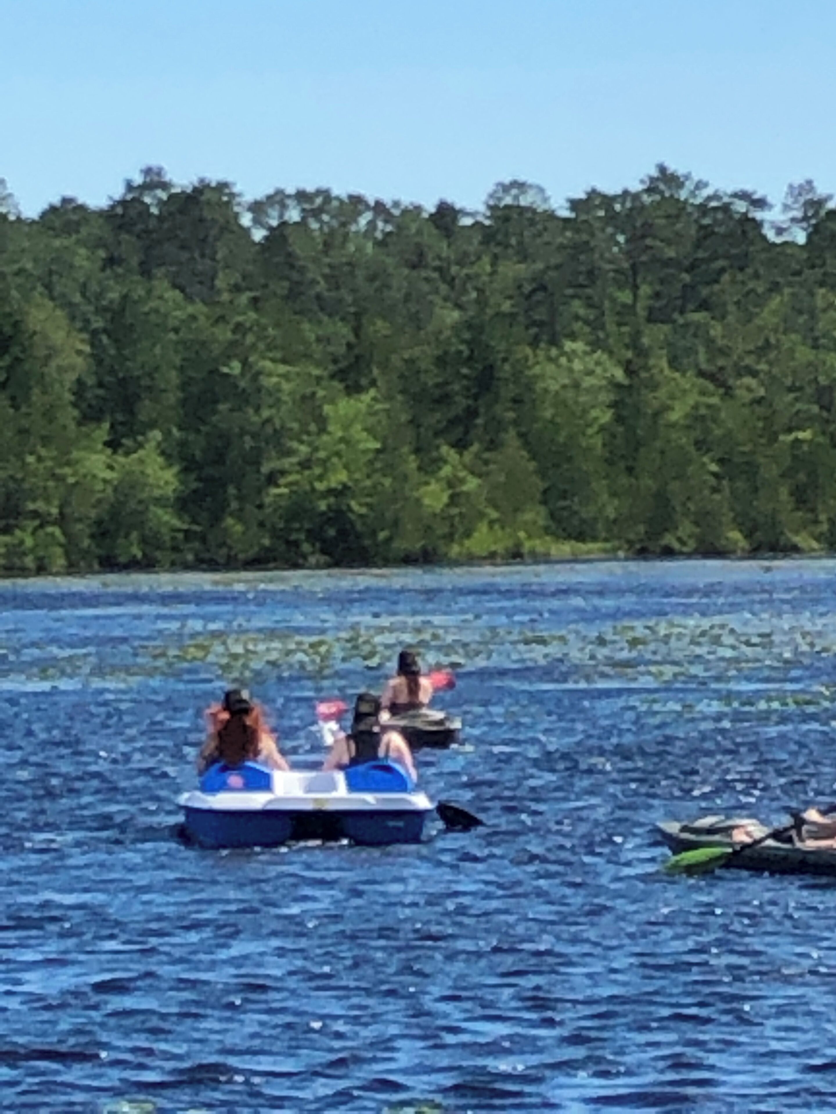 People on inflatable boats on a lake with a forested shoreline.