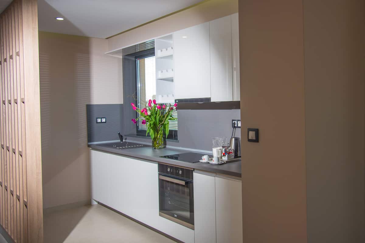 standard apartment, 1 king bed with sofa bed, non smoking, kitchenette (with sofabed) | private kitchenette | coffee/tea maker, electric kettle, eco-friendly cleaning products