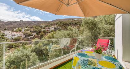 Family cotttage among olive