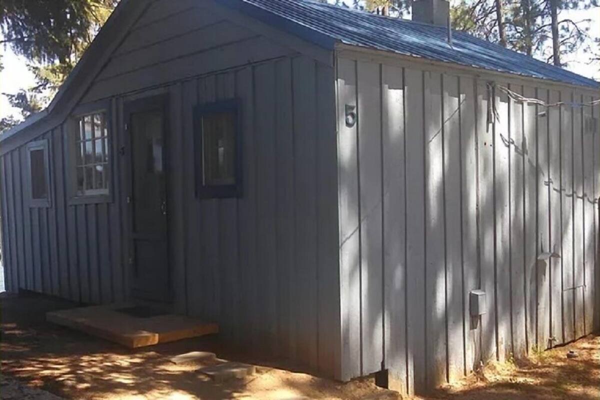 Cabin (Cabin 5)