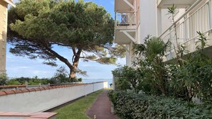 A pathway flanked by a large tree and dense shrubbery, leading to a building with balconies overlooking a body of water. - Arcachon – One-bedroom flat with sea views in a quiet location (ARCACHON)