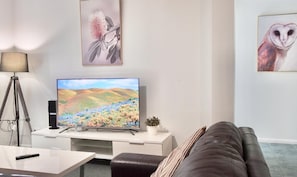 TV, Netflix, DVD player, books - Anaheim Entertainer - Theme Park Central (Gold Coast)