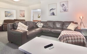 Una televisión, Netflix, un reproductor de DVD, libros