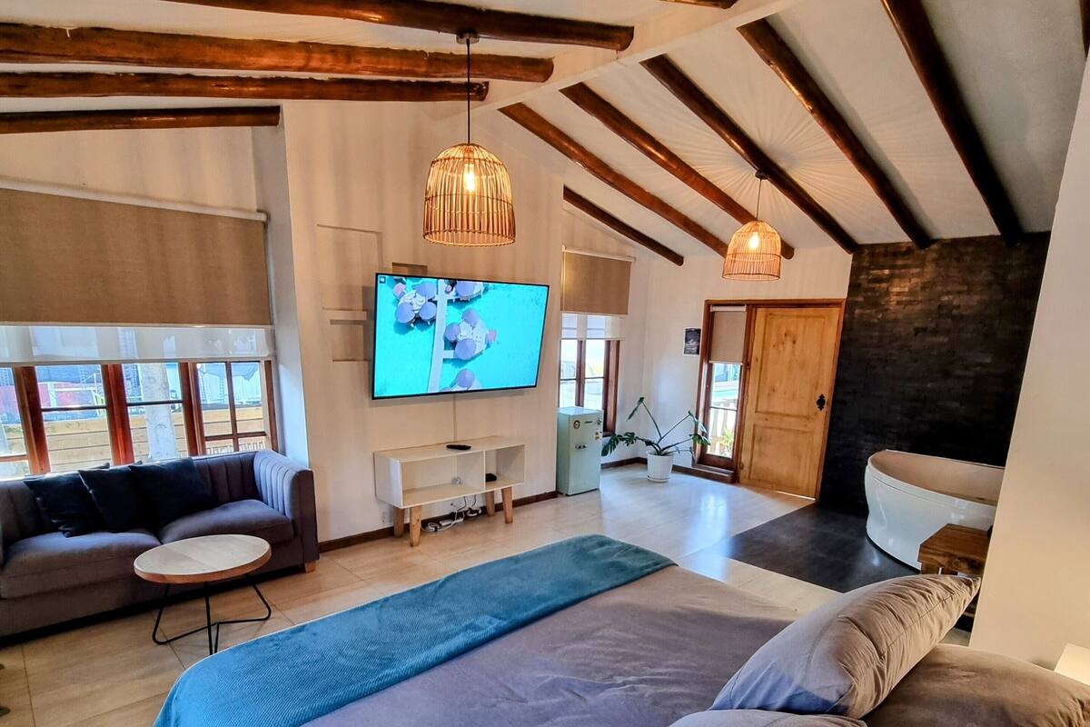 Minibar, cortinas blackout, tabla de planchar con plancha y wifi gratis 