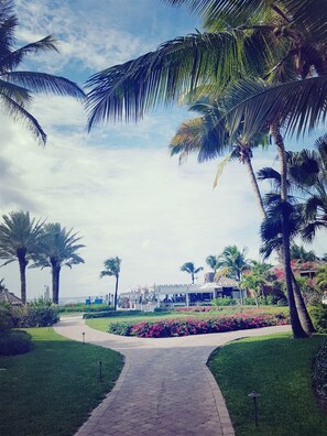 Terrain de l’hébergement 