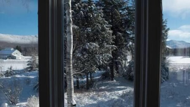 Un paisaje nevado con una casa y árboles.