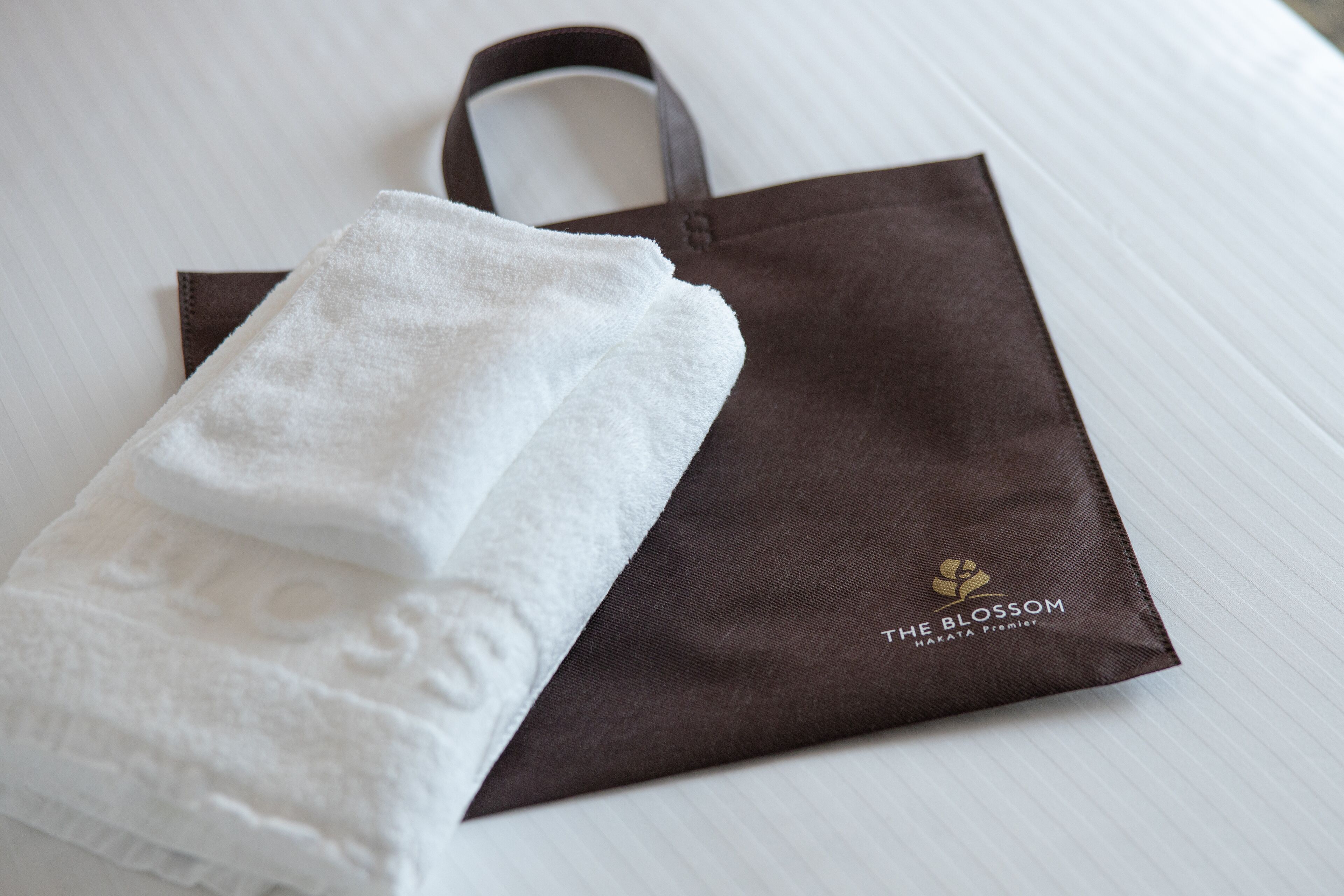 free toiletries, hair dryer, slippers, electronic bidet