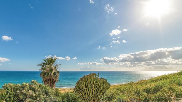 A coastal landscape with a clear sky, a palm tree, and a cactus in the foreground. - Awesome home in Menfi AG with WiFi (Menfi AG)