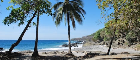 Nära stranden