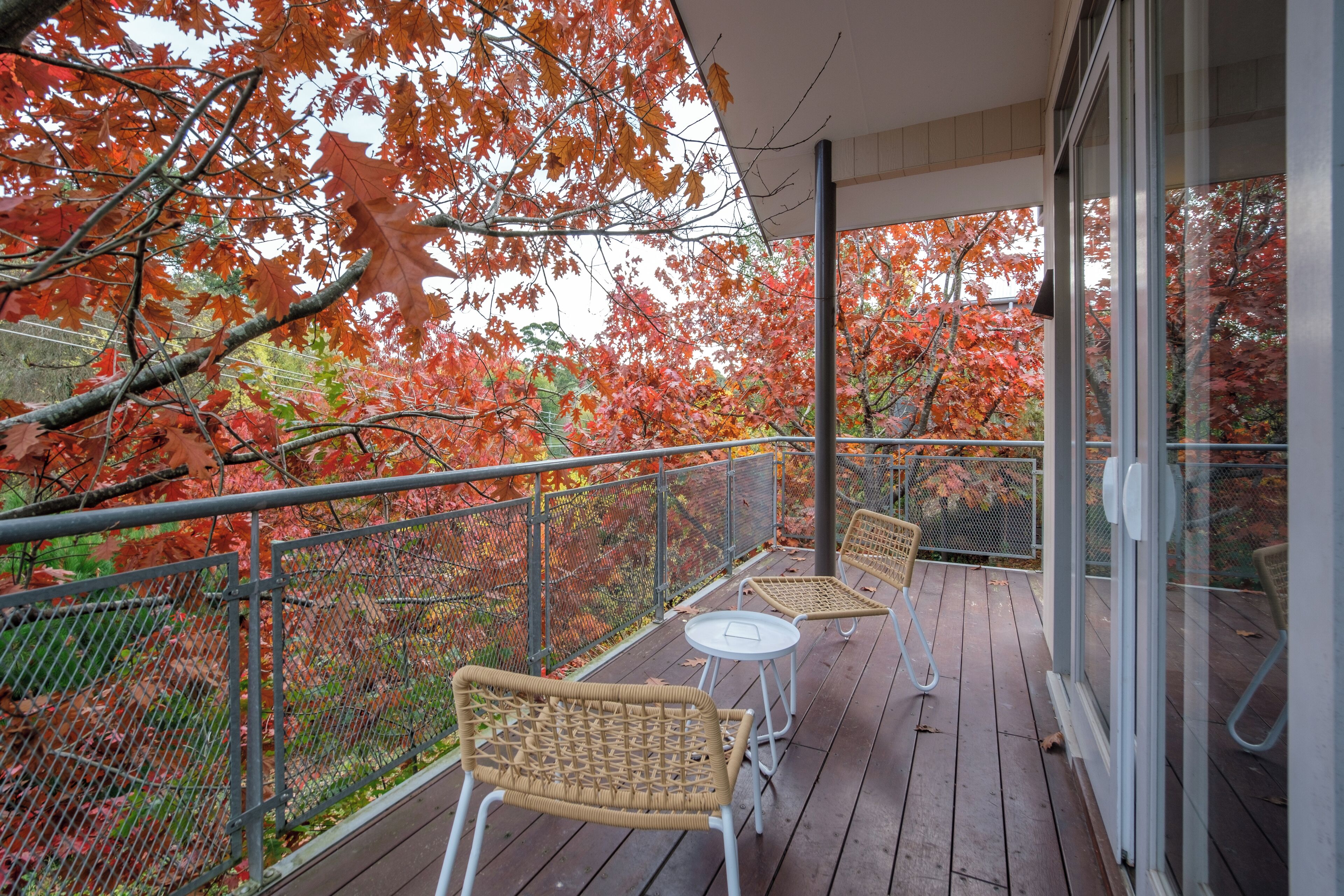 Teras/patio