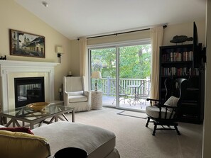 Smart TV, fireplace, books