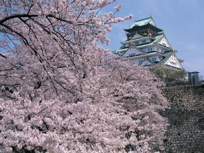 Point of interest - Henn na Resort & Spa Kansai Airport (Izumisano)