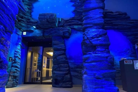 Property entrance. Henn na Resort & Spa Kansai Airport