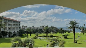 Quang cảnh vườn