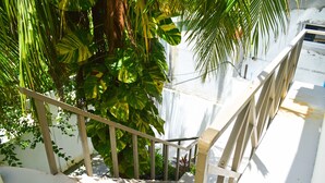Un escalier doté d’une rampe en bois, entouré d’un feuillage verdoyant et luxuriant.