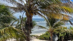 A beach with palm trees and a white fence. - Red coral, feet in the sand (Saint-François)