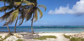 A beach with palm trees, clear blue water, and a sandy shore.