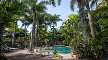 Outdoor pool, pool loungers