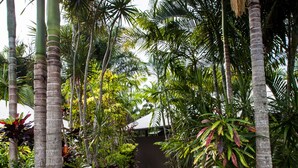 Unclassified image, 3 of 9, button - Cassawong Cottages (Wongaling Beach)