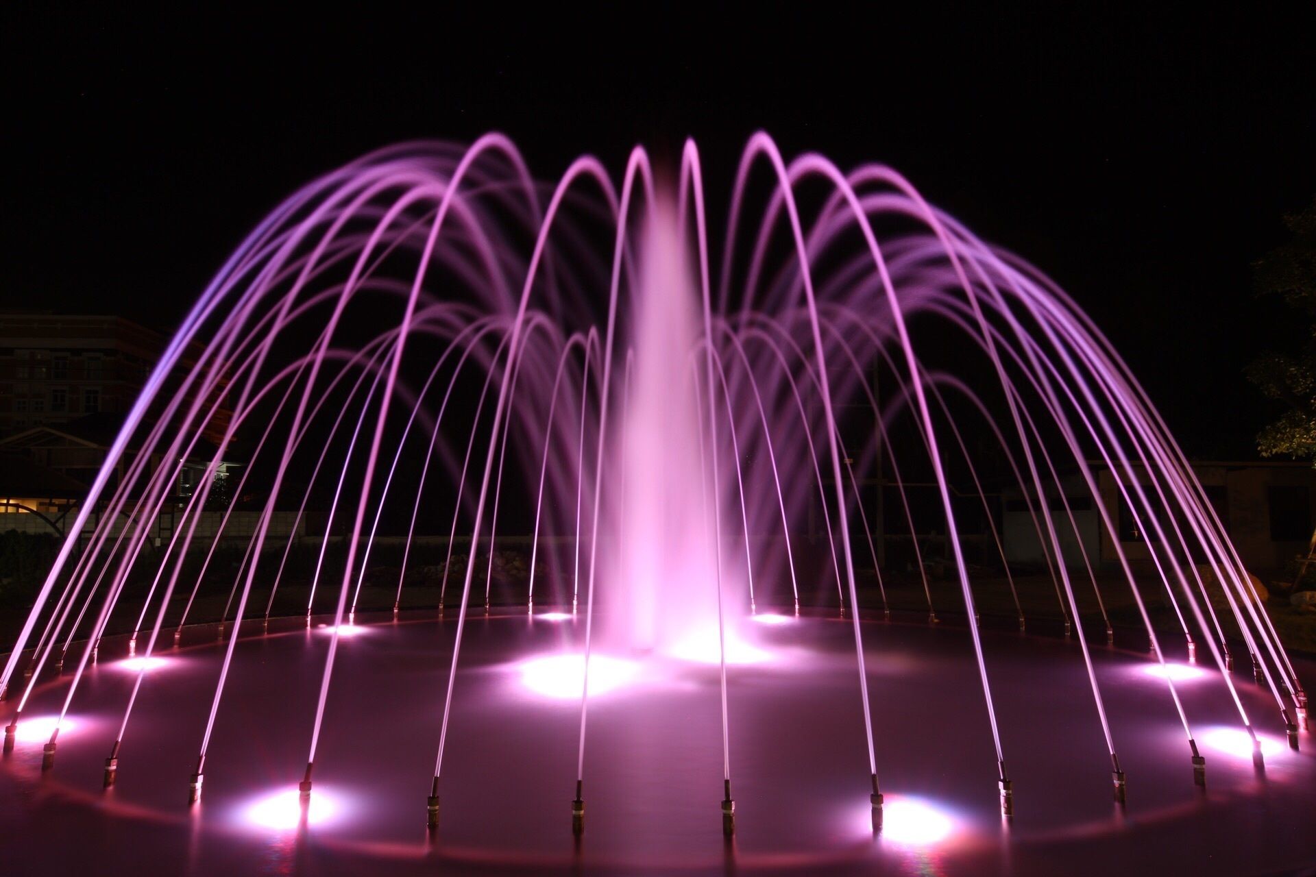 A fountain with multiple streams of water illuminated in purple.