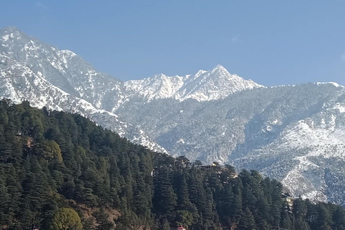 Paesaggio montuoso con cime innevate e fitte aree boschive.