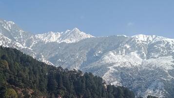 Chambre Double Supérieure, 1 lit double | Balcon