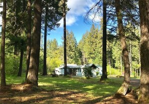 المنطقة المحيطة بالمنشأة