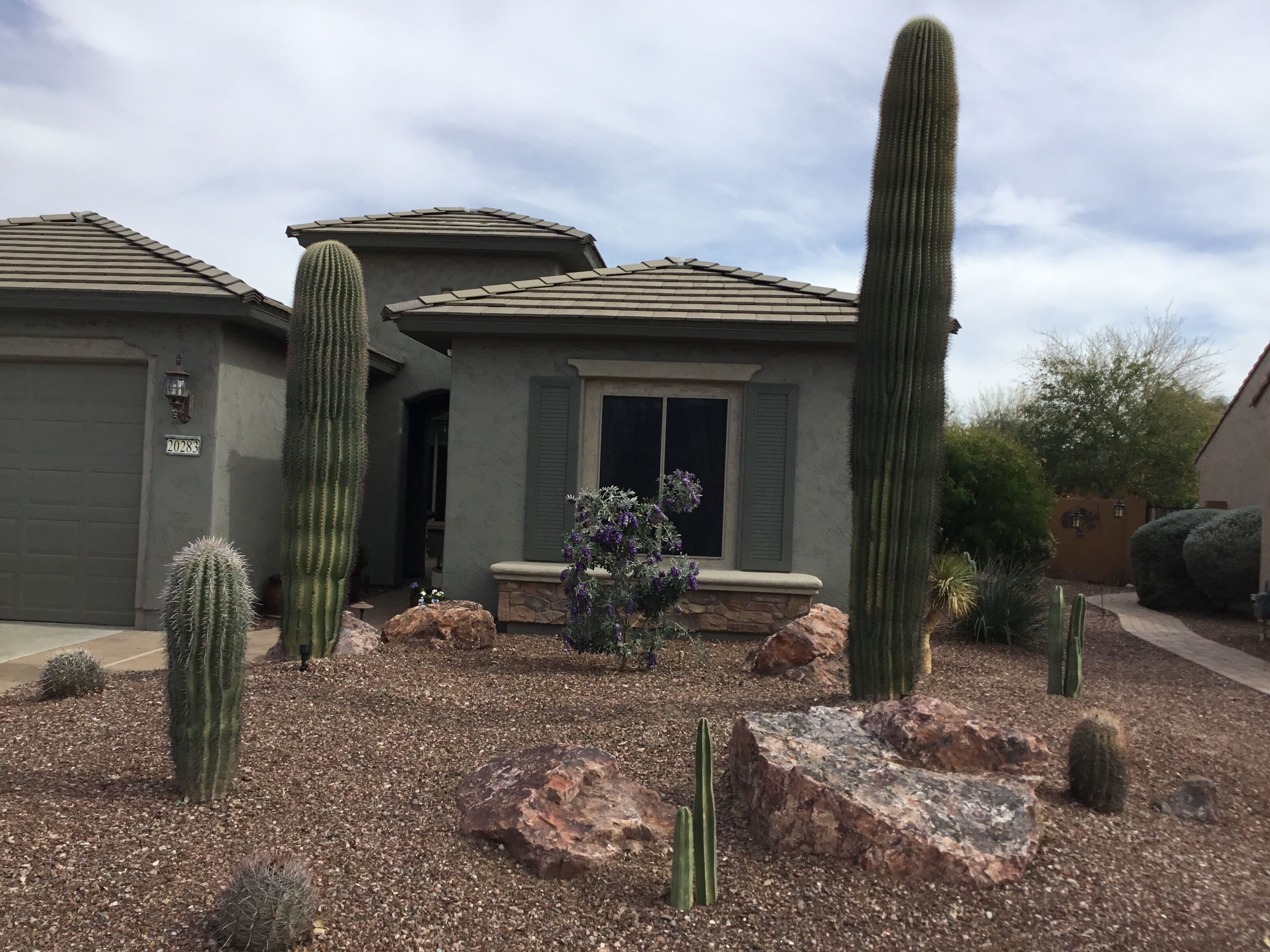 Rental in the best part  of Sun City Festival -  Pet Friendly 