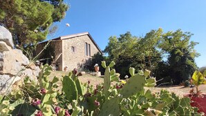 A stone building with a sloped roof, surrounded by cacti and trees. - Charming house - Montels - Occitanie Mediterranean (Montels)