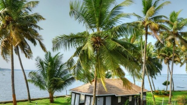 A small house with a thatched roof by a calm water body, surrounded by lush greenery and palm trees. - Shady Shores (Kanayannur)