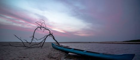 Een kano op een zanderig strand, met een boom op de voorgrond en een rustig wateroppervlak achterin.