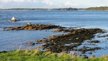 Vlak bij het strand, ligstoelen
