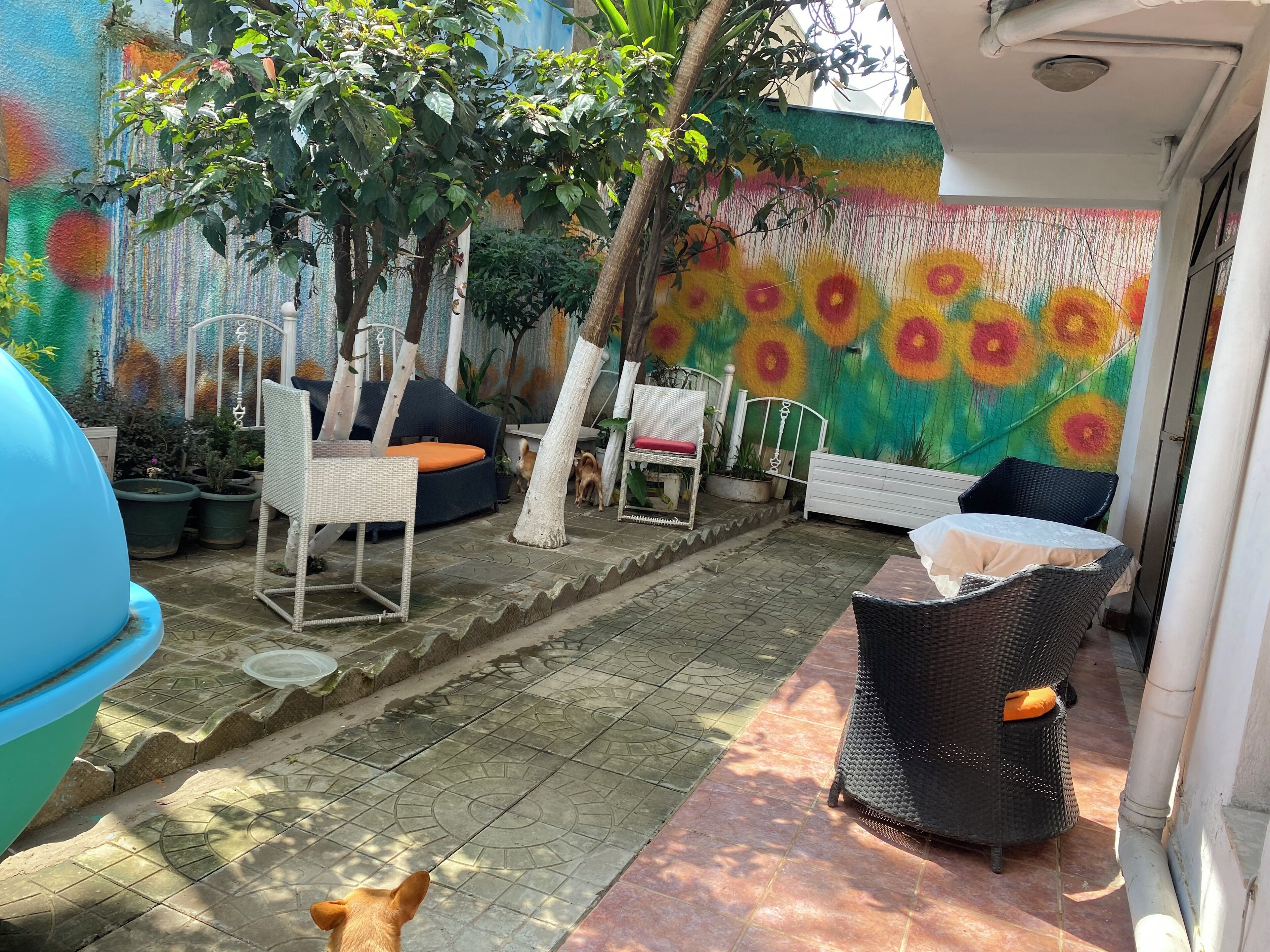 Foto - Kefetew Guest House