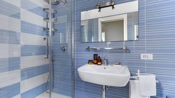 Shower, hair dryer, bidet, towels