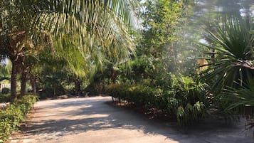 Jardin