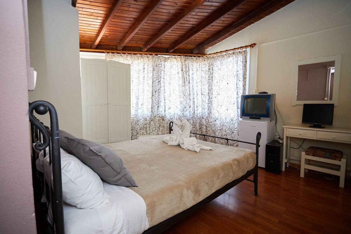 Una camera da letto con un letto, una televisione, una scrivania e un armadio.