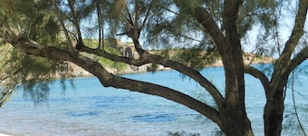 Fotis apartments and house