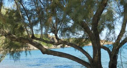 Fotis huoneistot ja talo