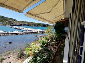 Property grounds - Fotis apartments and house (Nees Kidonies)