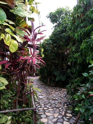 Jardí