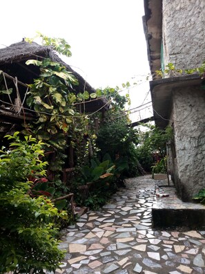 Vista del jardí
