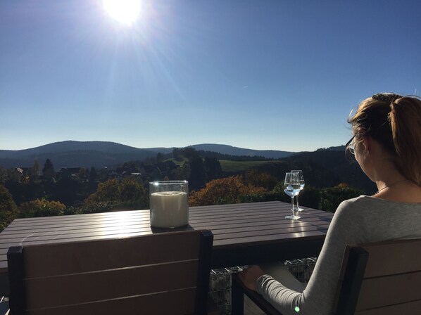 Outdoor dining - Enjoy the fantastic view with a fireplace and terrace (St. Andreasberg)