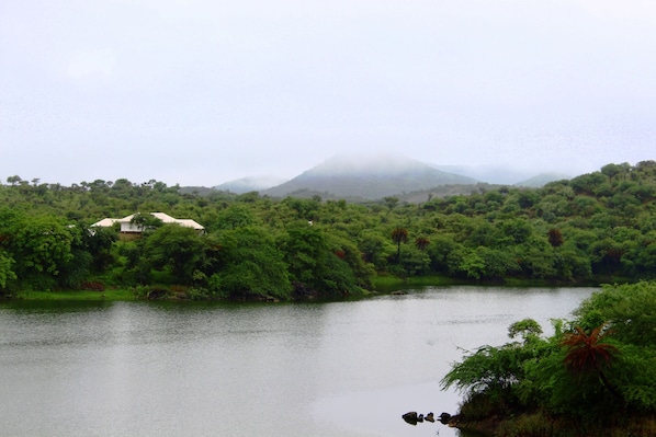 A serene landscape with a lake, lush greenery, and a mountain in the background.